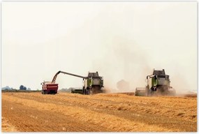 Poszterek 120x80 KombĂĄjn a gabona betakarĂtĂĄsĂĄhoz