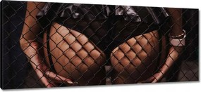 Vászonkép 100x40 Formás popsi a rács mögött