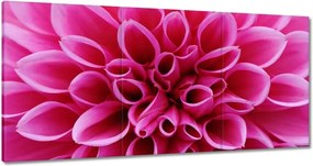 Festmények 120x60 Liliom