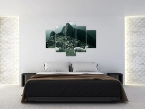 Kép - Lámák a perui Machu Picchunál (150x105 cm)