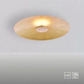 Paul Neuhaus 8132-12 - LED Dimmelhető mennyezeti lámpa PLATE LED/25W/230V