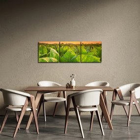Kép - Mező (órával) (90x30 cm)