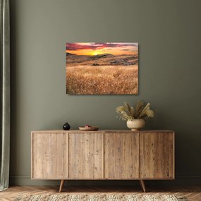 Mező képe (üvegen) (70x50 cm)
