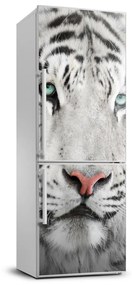 Hűtő matrica Fehér tigris FridgeStick-70x190-f-104866855
