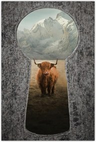 Poszterek 40x60 Skót tehén szarvasmarha