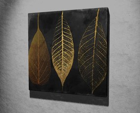 Vászonkép, 45×45 cm – KC139