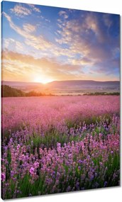 Vászonkép 70x100 Csodálatos naplemente