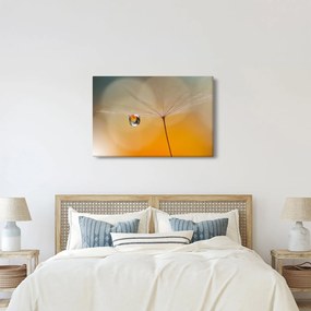 Kép - Makró virág (90x60 cm)