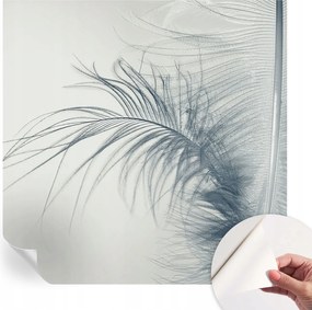 Modern öntapadós fotótapéta falra Finom toll 250x250 cm