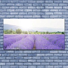 Üvegfotó Lavender Field Mező Természet 100x50 cm