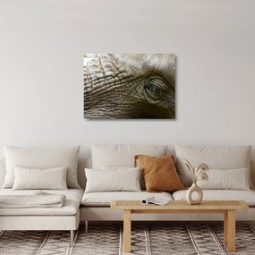 Üveg kép - Közelkép az öreg elefánt szeméről (70x50 cm)