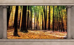 Fotótapéta - Őszi erdő (152,5x104 cm)