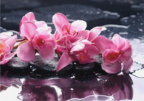 Modern fotótapéta Flizelina falra Virágos elegancia 208x146 Ragasztó