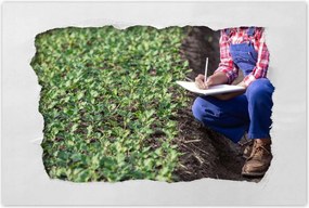 Poszterek 60x40 Modern mezőgazdaság