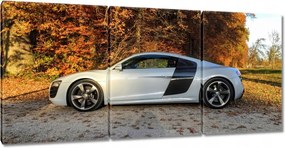 Vászonkép 210x100 Fehér Audi Tt