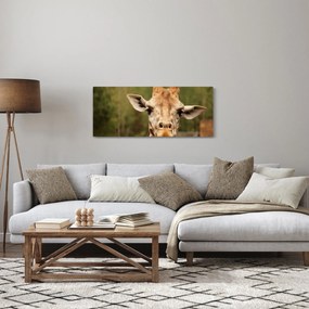 Egy zsiráf képe (120x50 cm)