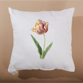 EMI Velvet díszpárna 40x40 cm