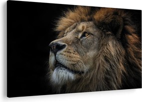Kép - A fenséges oroszlán (90x60 cm)