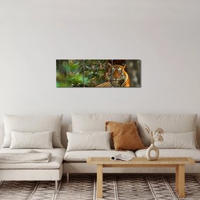 Pihenő tigris képe (órával) (90x30 cm)