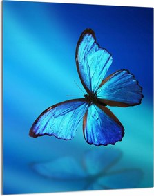 Üveg Vágódeszka 40x52 Pillangó a Konyhába