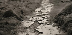 Poszter 91,3x44,5cm Memóriaút a dűnék között