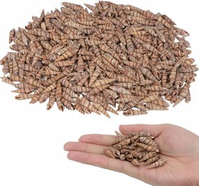 Kishéjak Készlet ~400 Darab vázákba, akváriumokba dekorációs töltelék