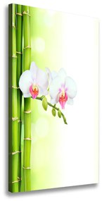 Egyedi vászonkép Orchidea és bambusz ocv-82165838
