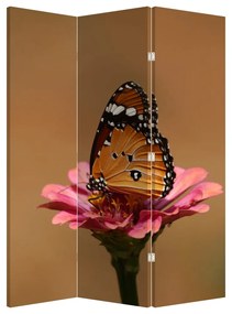 Paraván - Pillangó a virágon (126x170 cm)