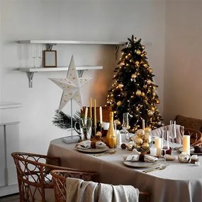 Solight LED karácsonyi csillag állvánnyal, fehér, 45 cm, 10x LED, 2x AA