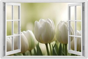 Poszterek 90x60 Fehér tulipánok