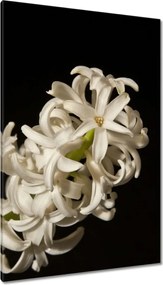 Vászonkép 80x120 Fehér virág