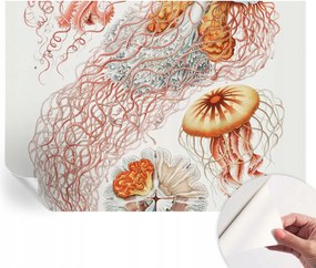 Modern öntapadós fali fotótapéta Fantázia medúzák 312x219 cm