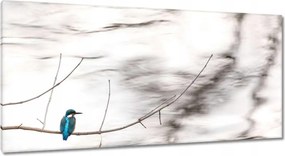 Vászonkép 115x55 Madarak