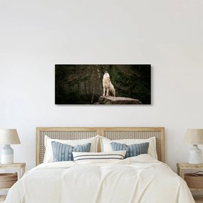 Kép - A farkas üvöltése (120x50 cm)