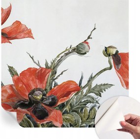 Öntapadós Dekoratív Fotótapéta Hálószobába Piros pipacs 250x250 cm