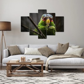 Papagáj képe (150x105 cm)