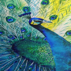 Páva képe (70x50 cm)