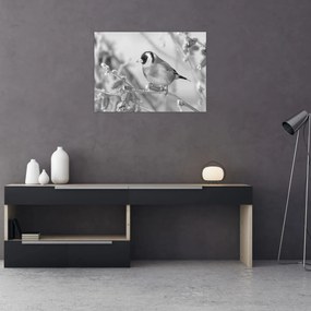 Kép - Egy madár télen (70x50 cm)