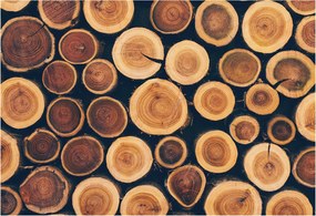 Flizelin fotótapéta Flizelin Design Fa körök 152x104