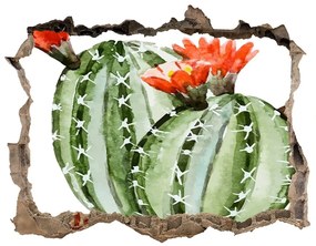 3d lyuk fal dekoráció Kaktuszok nd-k-86911813