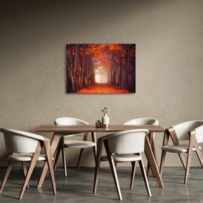 Kép - őszi erdő (üvegen) (70x50 cm)
