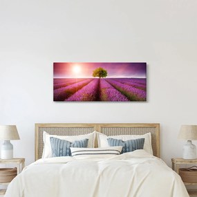 Levendula mező képe (120x50 cm)