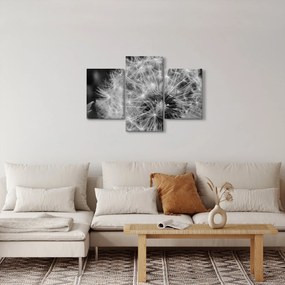 Kép - pitypang pehely (90x60 cm)