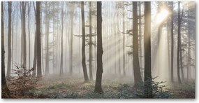 Fotó kép edzett üveg Köd az erdőben 140x70