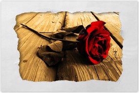 Poszterek 60x40 Rózsa szépia deszkákon