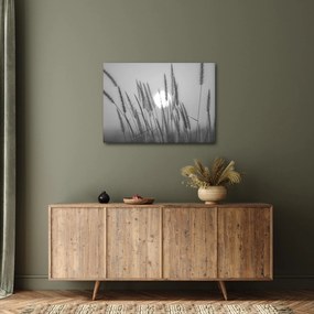 Kép - Mező naplementében (70x50 cm)