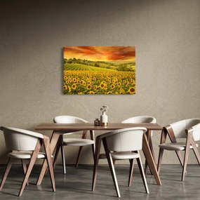 Kép - Napraforgó mező (90x60 cm)