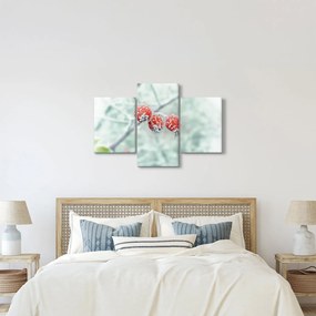 Fagyasztott csipkebogyó képe (90x60 cm)