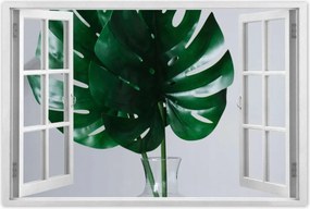 Poszterek 90x60 Mosnter levelek lyukas