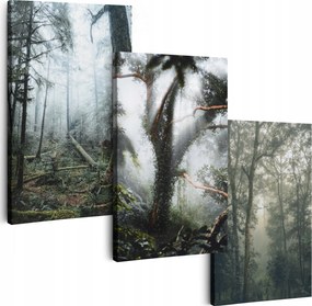 Vászonkép 180 cm **sok minta** Nappali Képek Triptichon Köd Erdő